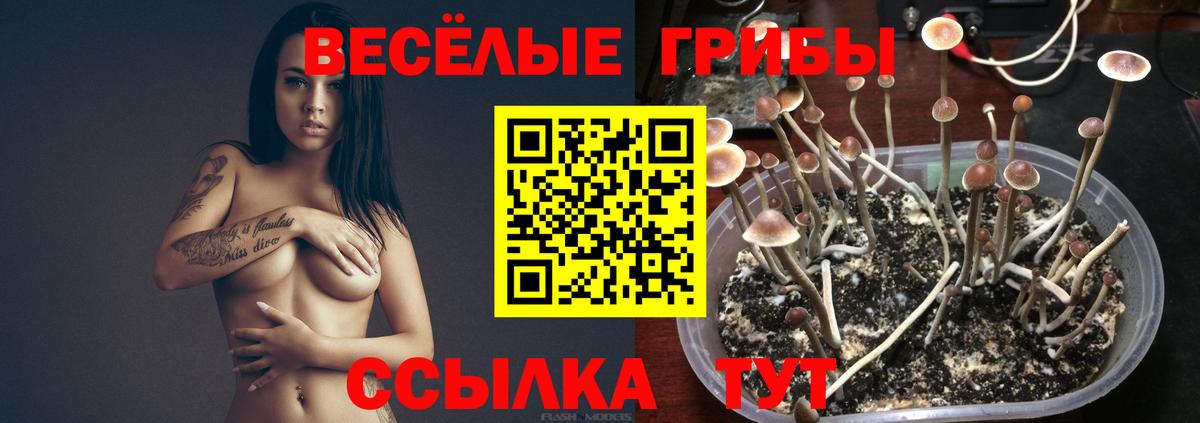 Галлюциногенные грибы MAGIC MUSHROOMS  Галлюциногенные грибы мухоморы  Вход с VPN  Магадан 